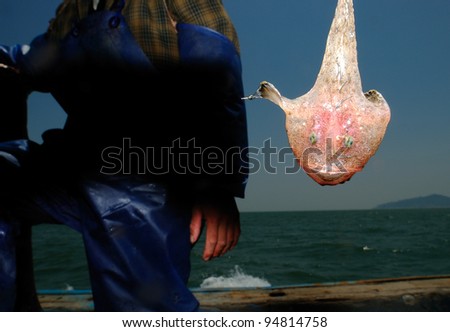 A pink angler fish been captured by native fisherman
