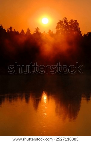 Similar – Image, Stock Photo fog rises over river in dark summer evening. Reeds and water lilies in foreground, bridge in distance. Dull boring sky. Beautiful moody night time