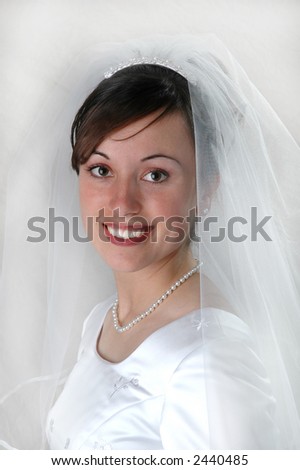 Portrait of Bride in Wedding Dress with bridal veil