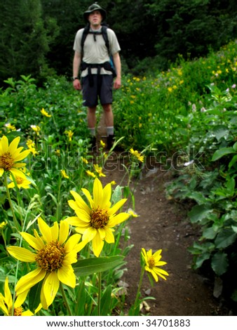 One person walking along trail with flowers and trees