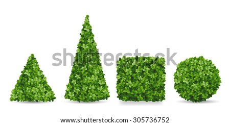 Boxwood shrubs of different forms. Topiary in the shape of a pyramid, sphere, cube. Decorative elements of the garden landscaping.