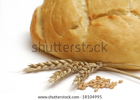 Bread, wheat and seeds studio isolated on white background