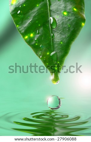 Extreme close-up of drop coming down from green leaf with reflection