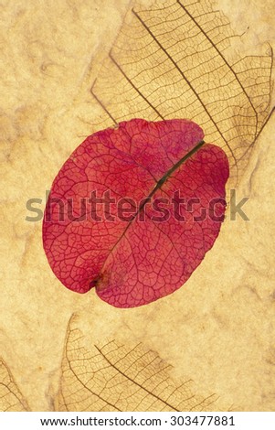 Pink Petal and Leaf Pressed On Recycled Paper Vertical Background
