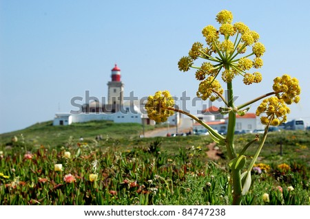 seascape whit lighthouse and flowers