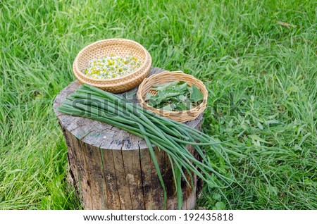 summer herbal set and ecology garden green onion on stump outdoor