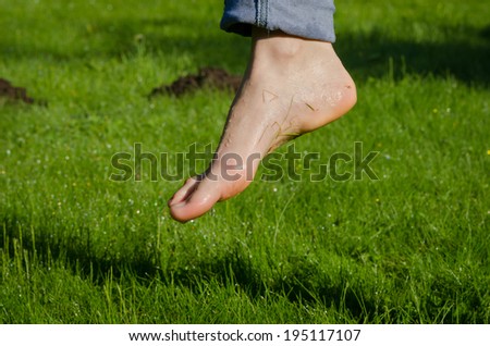 Dewy water drops on wet barefoot foot after walking in morning meadow grass.