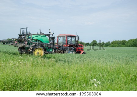green red tractor fertilizing wheat field in summer day