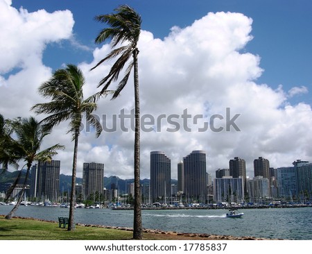 Honolulu park palms with downtown skyscrapers in a background (Hawaii).