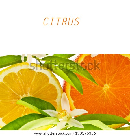 citrus fruits - oranges and lemon, cut off from the side, decorated with flowers and leaves isolated on white background