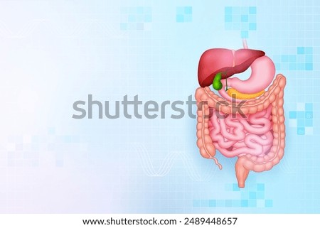 illustration of Healthcare and Medical education background of Human Digestive System for Science Biology study