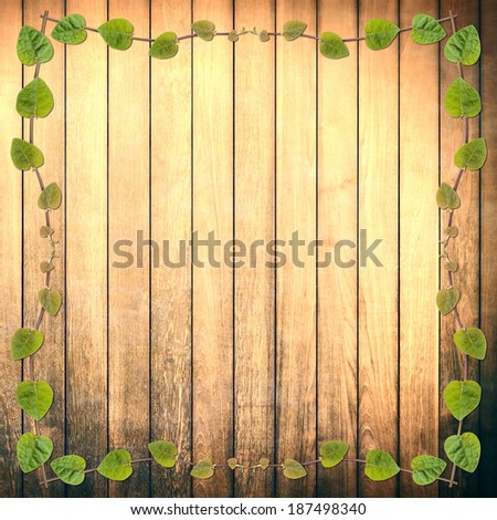 green creeper plant frame on rough wood plank background