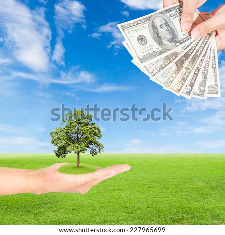 Carbon credits concept,hand holding tree and US Dollars banknote against green field and blue sky background