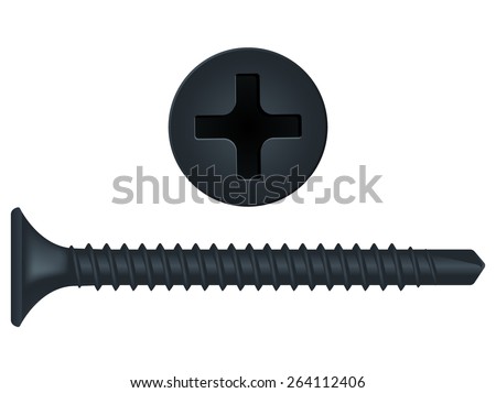 Screw and Screw head.     Vector illustration isolated on white background