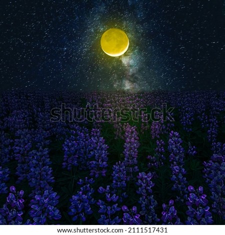 Lupine in bloom at night. 3D illustration. Imitation of oil painting.