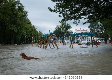 BRATISLAVA, SLOVAKIA - JUNE 4:  The water flooded whole Tyrsovo Embankment on the Petrzalka side of the Danube on June 4, 2013 in Bratislava
