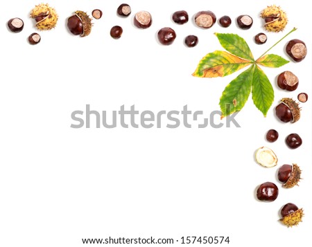 Autumn frame for seasonal greeting made of chestnuts with blank space for text, white background