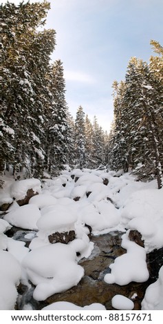 vertical panorama of Cold Creek in National Park High Tatras, Slovakia