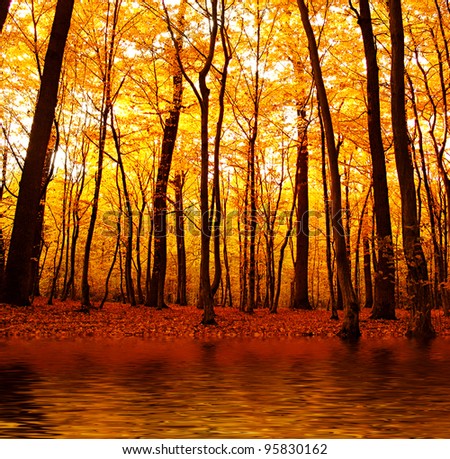 Lake in autumn forest. Beautiful nature background.