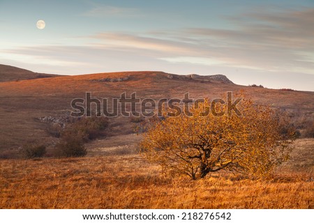Autumn landscape with a tree and the moon. Sunset light painted mountains, grass and trees in golden color.