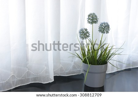 Window side flower with white curtain - home decoration