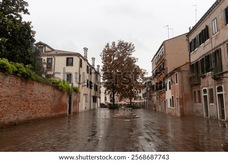 Similar – Image, Stock Photo Rainy day in Venice venice