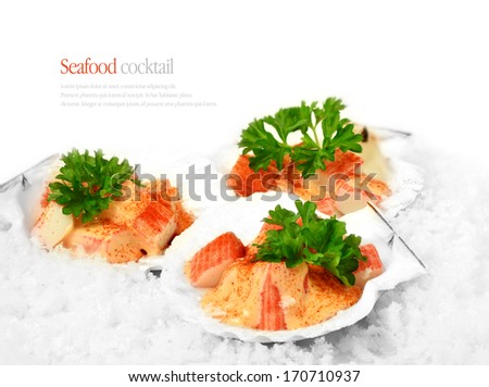 Seafood Cocktail served in scallop shells on a bed of ice. The perfect image for a fish restaurant menu cover. Copy space.