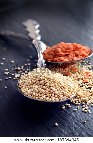 Quinoa on spoon against a dark background. Red split lentils in background. Shallow depth of field. Copy space.