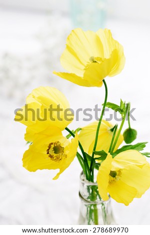 Victorian yellow poppies in a vintage glass bottle against a bright sunlit background with copy space.