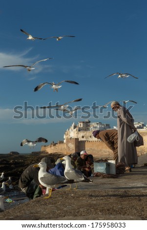 ESSAOUIRA, MOROCCO - APRIL 25: Workers gutting fish outside the market whilst sea gulls hover above on April 25, 2013 in Essaouira, Morocco.