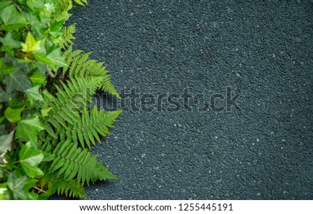 Contrasting Background