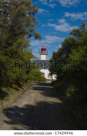 Dirt road surrounded by vegetation leading to a lighthouse
