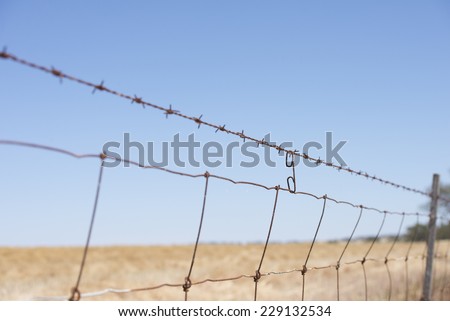 Rusty Barb wired fence along paddock or farm land in rural agricultural country, with wheat field or meadow and blue sky as blurred background and copy space.