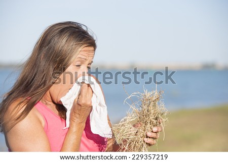 Portrait attractive mature woman suffering from seasonal hay fever allergy, holding straw in hand and sneezing into handkerchief tissue, blurred outdoor background and copy space.