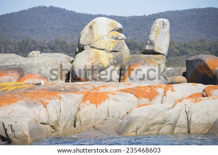 Orange colored rocks at the coastline of the Bay of Fires, Tasmania, Australia, with crystal clear ocean, mountains in hinterland, attractive tourist destination, copy space.