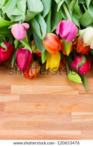 multocolored spring tulips laying on wooden table