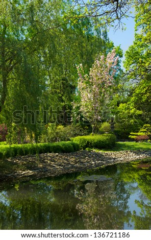 beautiful japan garden in spring, Wroclaw, Poland