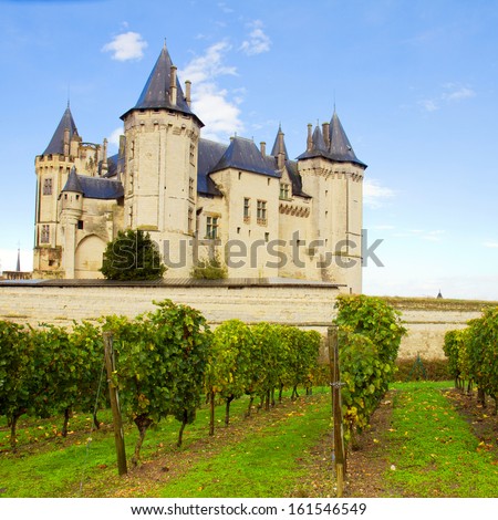 Saumur castle and vineyards  in the Loire Valley, France