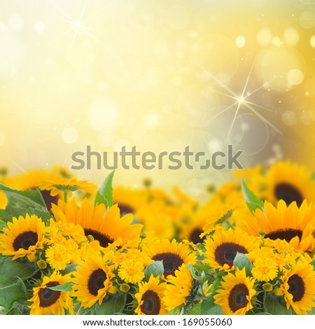 flowers garden with sunflowers and marigold  flowers