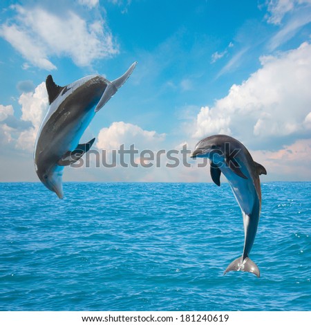 two  jumping dolphins,beautiful seascape with deep  ocean  waters and cloudscape