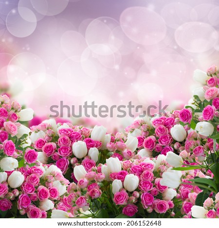 bunch  of fresh pink roses and white tulips flowers  on bokeh  background