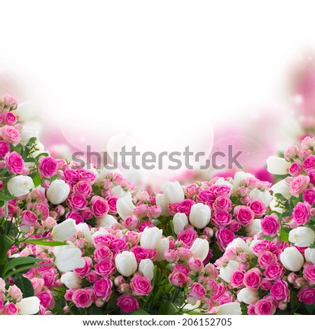 bunch  of fresh pink roses and white tulips flowers border on white background