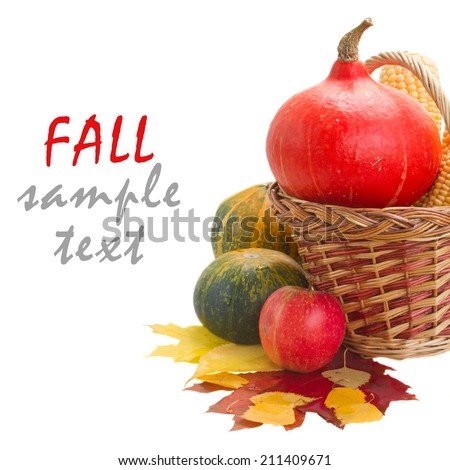 ripe of raw  pumpkins and corn with fall leaves  isolated on white background