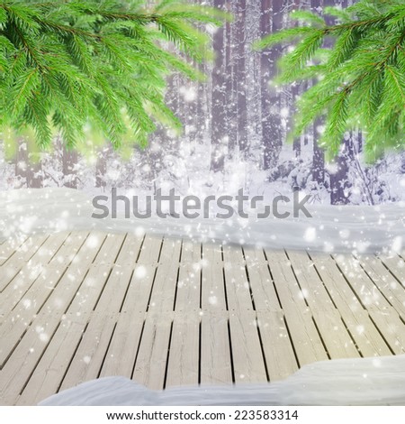 wooden planks in winter  forest  with  snow and evergreen fir tree