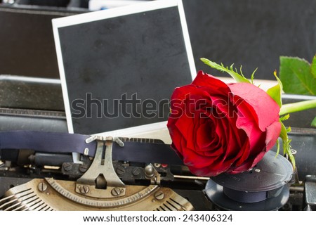 red rose on vintage typewriter with instant phoro