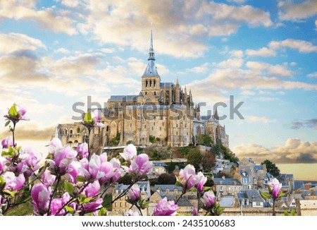 Similar – Image, Stock Photo Bay of Mont Saint-Michel trampled by salt meadows sheep, Brittany, France