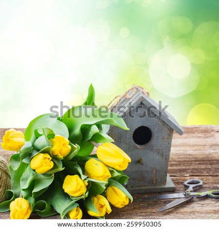 Yellow tulips  with birdcage on table in green garden