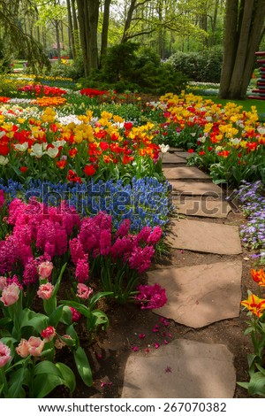 Stone path winding in spring flower garden with blossoming tulip and hyacinth flowers