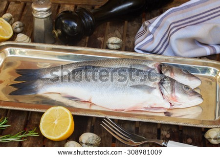 Two Seabass raw fish on silver tray