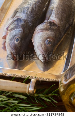 Two Seabass raw fish on silver tray close up